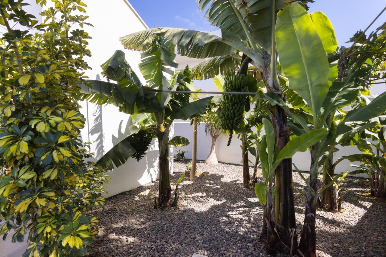 Home2Book Amazing Santa Ursula, Sea Views & Terrace Exterior photo